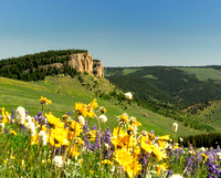 Big Horn Mtns 2008