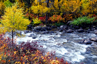 Tongue River Fall