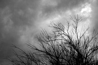 January Sky B&W 16