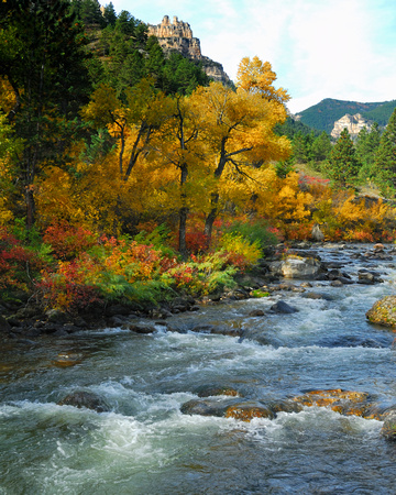 Tongue River Fall II