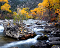 Tongue River Canyon Fall